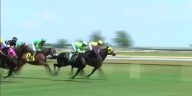 4 y.o. ‘My Sexy Blonde’ breaks maiden, in Ellis Park claiming race, Monday