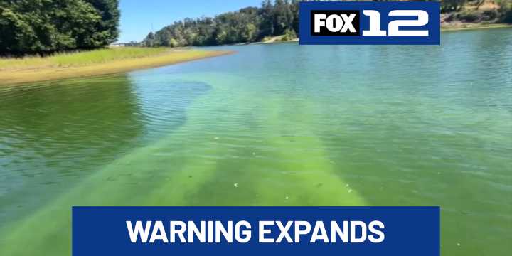 Willamette River algae bloom warning expands from Ross Island to Columbia River