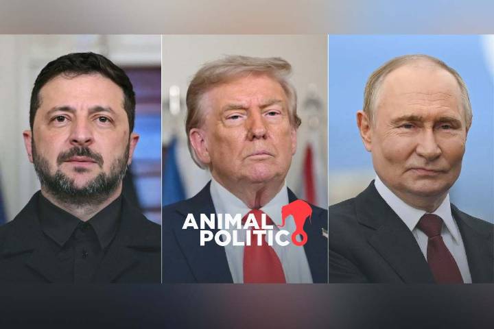 Trump negocia “cumbre de paz” entre Putin y Zelensky para poner fin a guerra en Ucrania