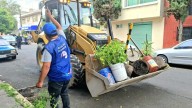 Retiran 70 toneladas de enseres en operativos de recuperación de espacios en Coyoacán