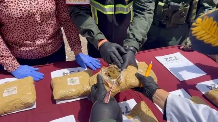 Superintendente Nacional Antidrogas se adjudicó decomiso de 433 kilos de marihuana en Apure