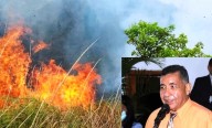Naturaleza intervenida, por Aquiles Amares