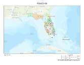 ‘Bold call’ or ‘corruption’? Florida GOP, Dems split on congressional redistricting