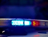 Man Accused of Pointing BB Gun During Argument Over Dog in...