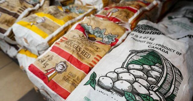 Fact File: No truth to online claims of dramatic drop in potato exports to U.S.