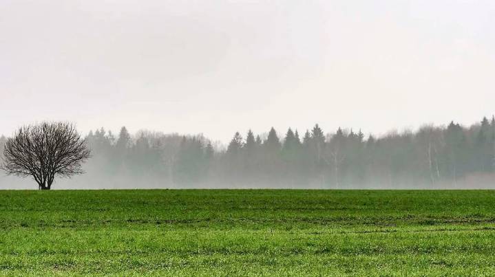 Se esperan lluvias importantes en el centro del país y hay temor por cómo impactarán en la campaña agrícola
