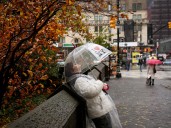 El tiempo hoy en New York: mucho calor, tormentas para la noche y todo sobre el estado del clima este domingo 17 de agosto de 2025