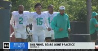 Camp Dolphins: Miami and Chicago hold joint practice ahead of 2025 preseason opener