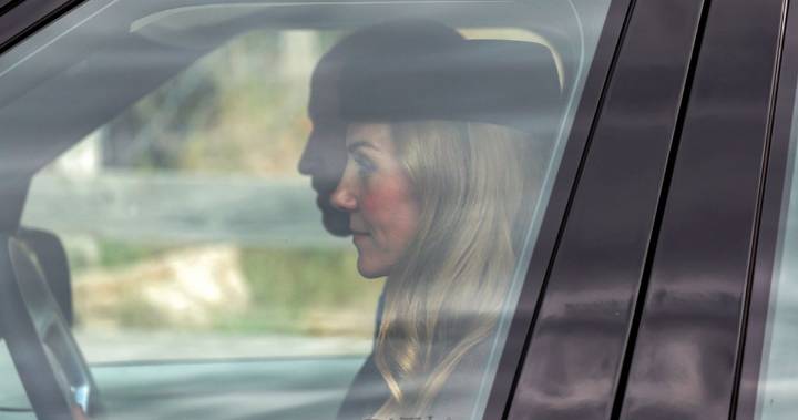 Does Kate Middleton Have Blonde Hair Now?