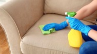 Que tu marido no se entere: limpiá los tapizados de tu sofá y silla con este trucazo viral que no falla