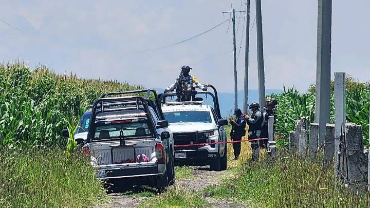 Localizan a una persona sin vida en un campo de cultivo en Acámbaro