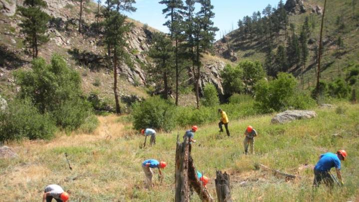 CU Boulder gifted Spruce Gulch Wildlife and Research Reserve, endowment