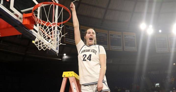 Montana State Bobcats' Taylor Janssen taking basketball career to Spain