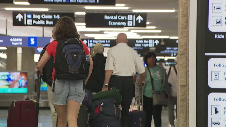 TPA continues to expand international routes, more travelers using AI in planning