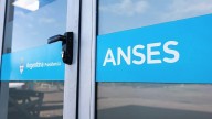 ANSES, Delucca respondió dudas sobre programas
