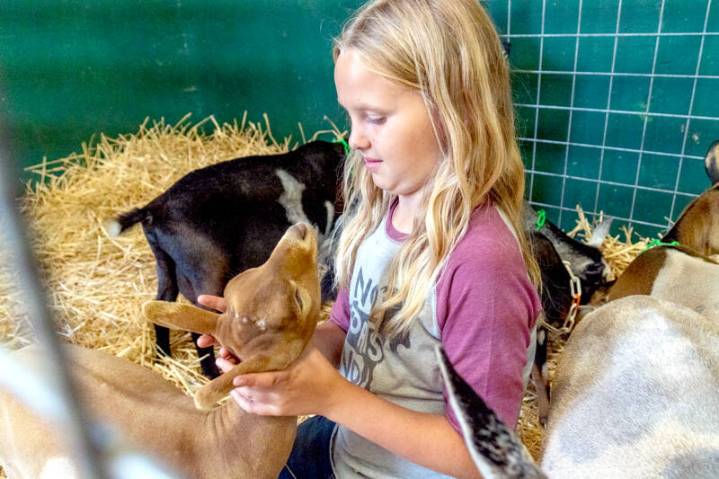 Fair opens today