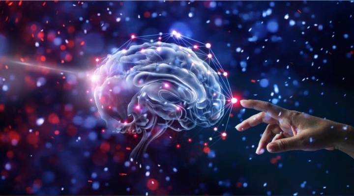 Los misterios del cerebro: el nuevo enfoque para investigar la demencia que cambia el escenario científico de América Latina