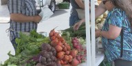 South Lansing Farmers Market offering free produce for low