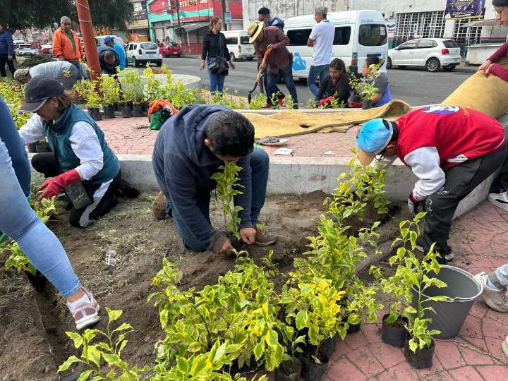 Más de 150 vecinos y servidores públicos participan en la paz en la 3ª jornada de reforestación sobre carretera México