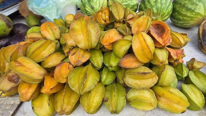 En la Brecha Huasteca se produce carambola todo el año: fruta orgánica de traspatio que llega a los rodantes