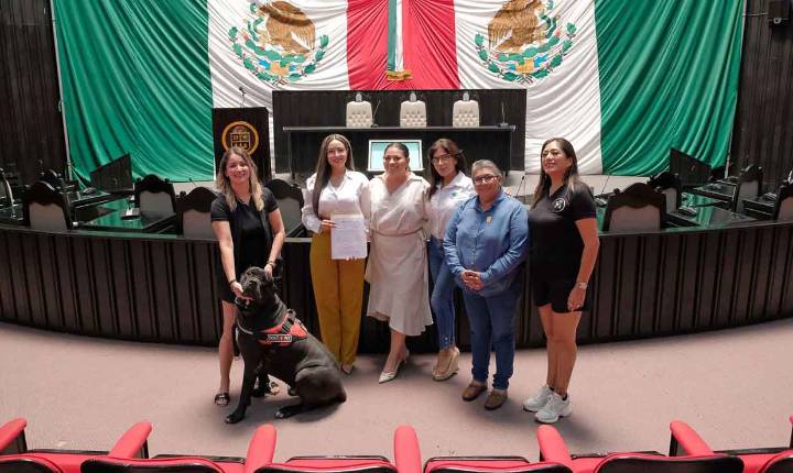 Quintana Roo avanza en inclusión: garantizan acceso con perros de asistencia y animales de apoyo emocional