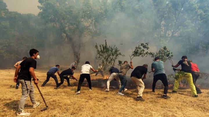 La huella que dejan los incendios... imborrable en años