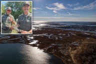 Alligator found on Long Island