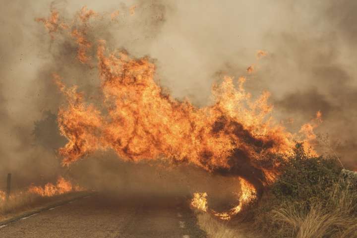 Devastador fuego consume miles de hectáreas en España, dejando costes humanos y materiales que afectan a numerosos sectores