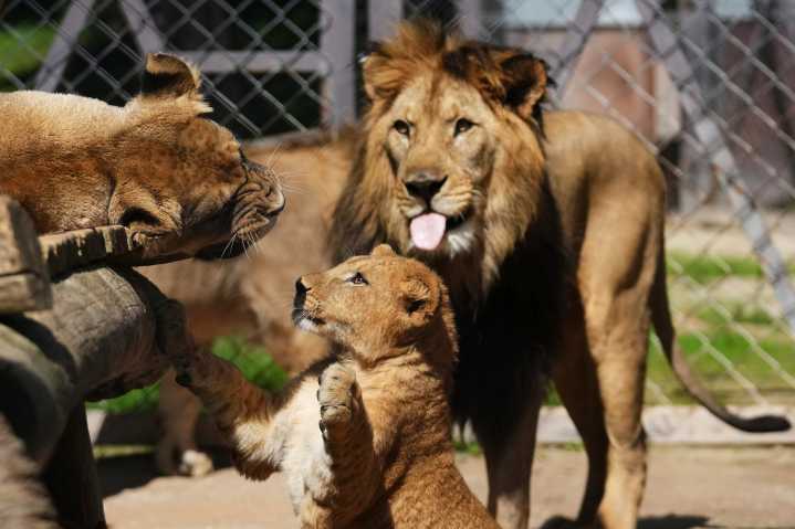 Our world in photos: August 6