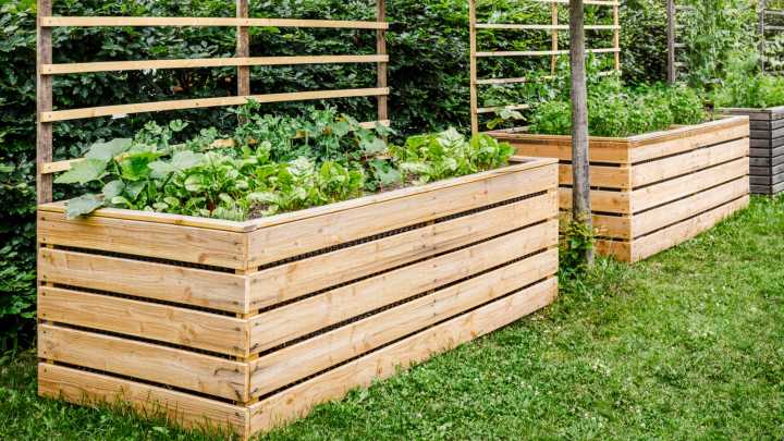 Metal Vs Wood Raised Garden Beds: Which Should You Use?