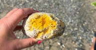 Dog owners need to be alert as toxic 'ear wax' lumps wash up on UK beaches