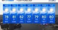 High pollen continues in Maryland amid early fall