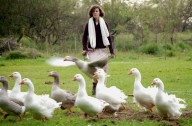 "Un viaje interminable". Se reestrena la película que, hace 17 años, le cambió la cara al cine argentino