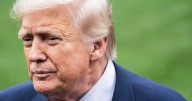 Trump ramps up campaign for Nobel Peace Prize ahead of Putin meeting