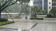 Árboles derribados por el viento: la fuerza del tifón Kajiki provoca una evacuación masiva en Vietnam