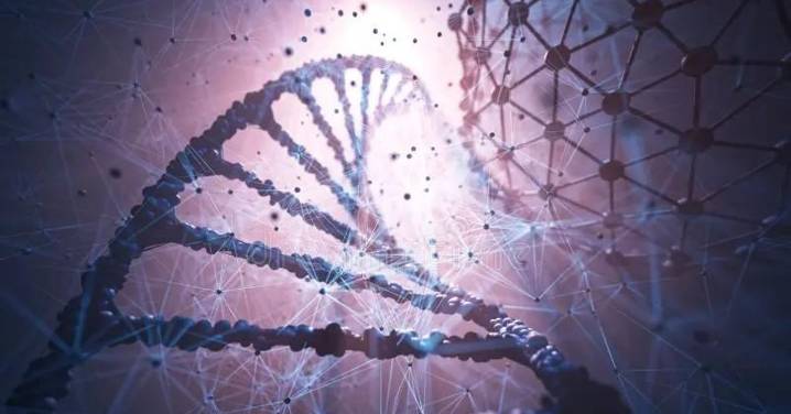 Primera transferencia de comportamiento entre especies manipulando un solo gen