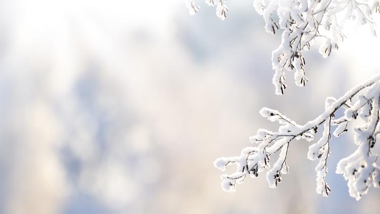 Old Farmer’s Almanac releases 2025–26 U.S. winter outlook