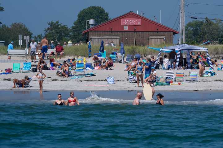 Great White Sharks Head North, Following Seals And Alarming Beachgoers