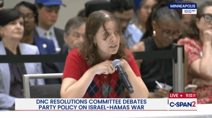DNC Blocks Resolution Calling for Recognition of Palestinian Statehood