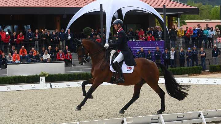 Carl Hester takes the lead at the European Dressage Championships