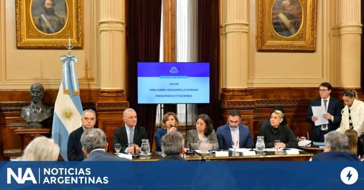 El Senado discute en comisión los proyectos de financiamiento universitario y emergencia en pediatría