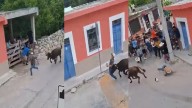VIDEO: Chamaco acaba en el hospital tras ser corneado por vaquilla en Dzidzantún