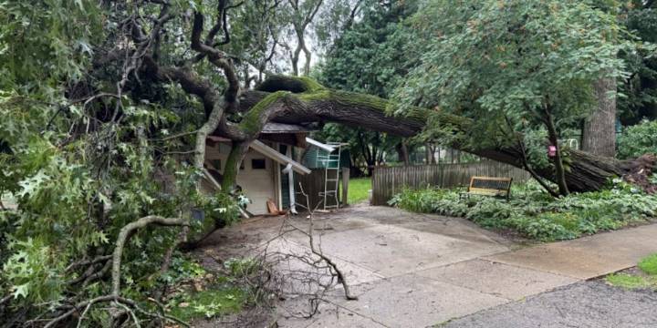 Tree falls on southwest Madison house, 3 displaced