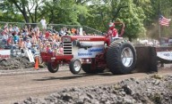 Things to do Aug. 15-21: Elburn Days, Naper Nights, Little Bear Ribfest and more