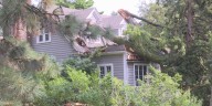 Storms slams tree through south Lincoln home