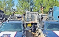 Decomisan tráiler con 3 mil charolas de cerveza