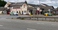 Six people mauled in two-dog rampage as teenage girl and man, 47, arrested