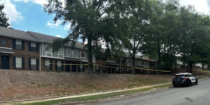 6-year-old boy accidentally shoots, kills himself in Birmingham