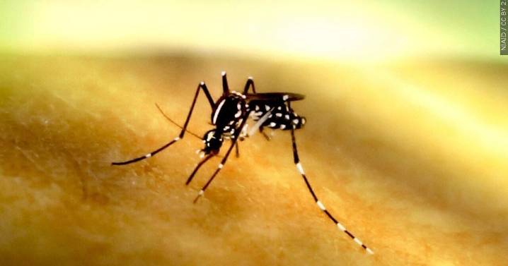 First confirmed case of West Nile Virus reported in human in Dane County