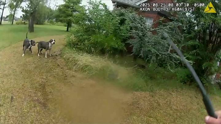 Oklahoma County deputy confronted by aggressive dogs, responding to family trapped in Edmond home